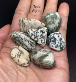 Tree Agate Genuine Stones 7pcs 51g total