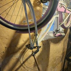 Women's Or Girls Schwinn Bike