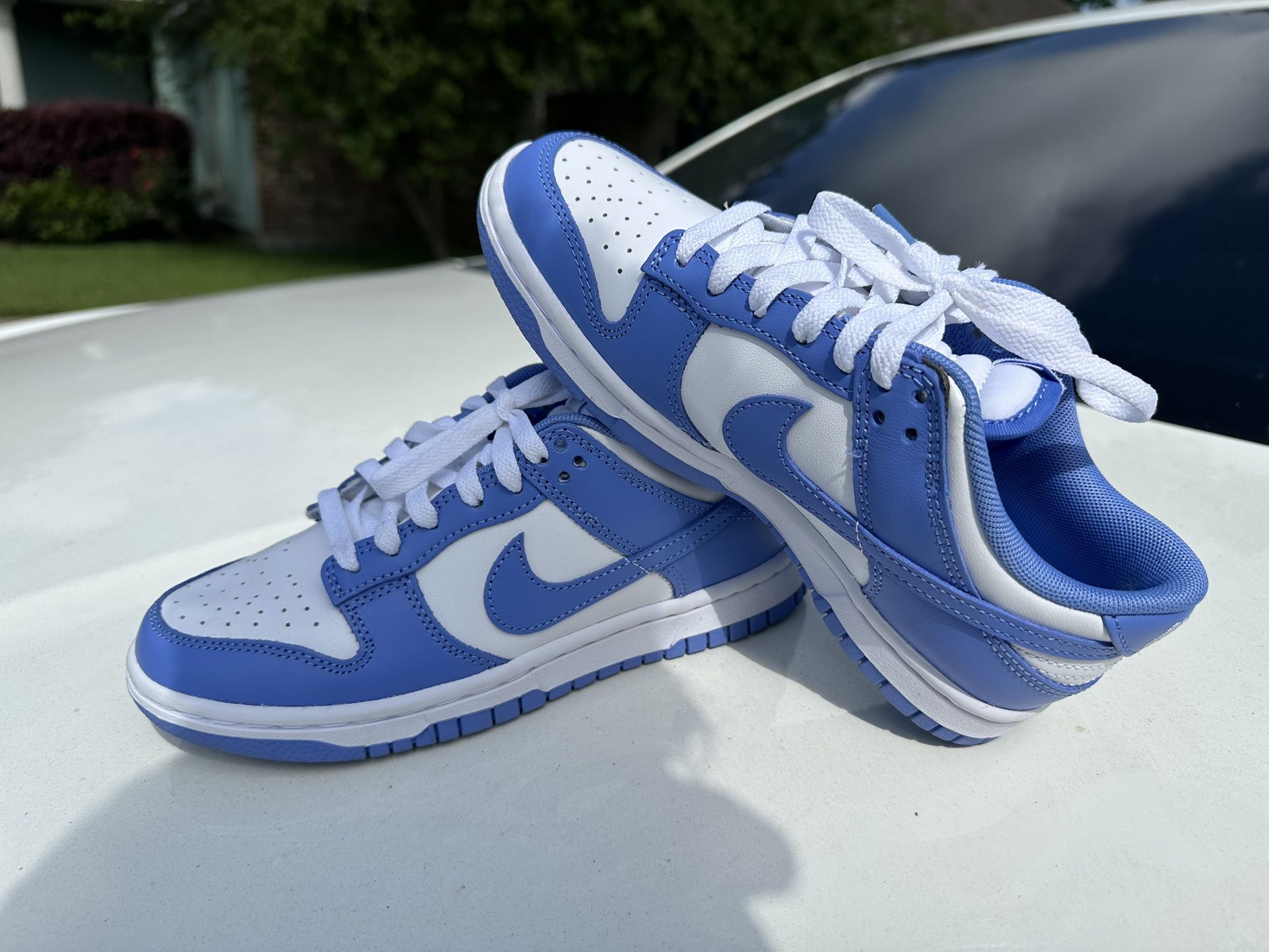 Nike Dunks Low BLUE