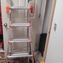 Little Giant Velocity 17 Ft Ladder