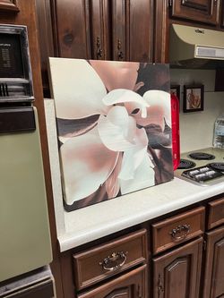 Floral Canvas Art