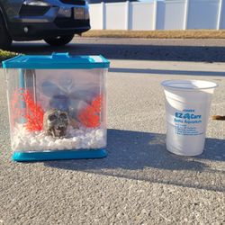 Marina Betta Aquarium EZ Care 