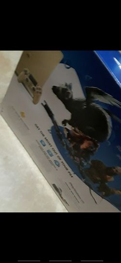 Sony Ps4 (Gold Edition)