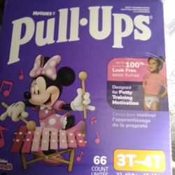 Pull-Ups Size 3T-4T