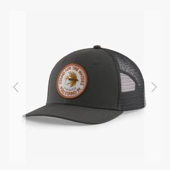Patagonia Truckers Hat