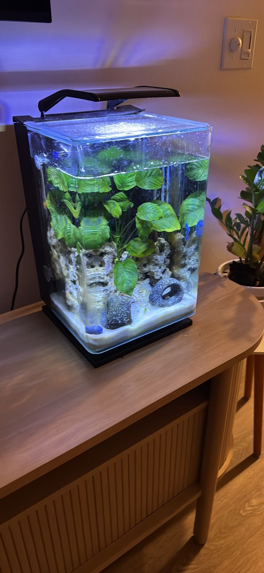 Fish Tank