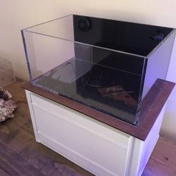 Pico Aquarium Custom 2 Gallon