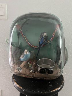 Bird travel bag and food for sale! Look at description for important information before buying!