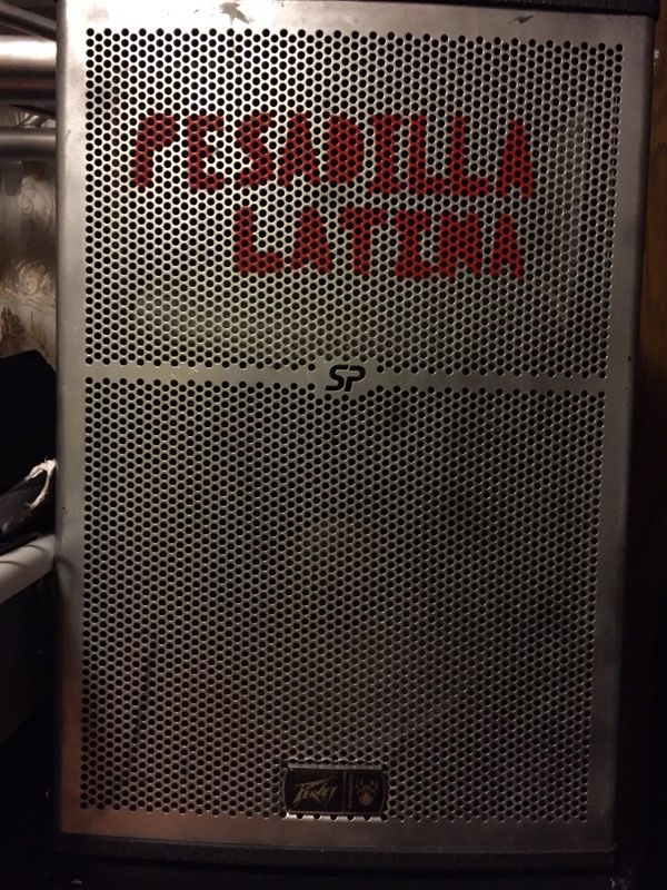 2 bosinas Peavey SP