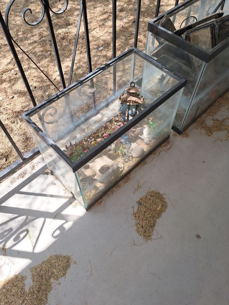 Fish Tank With Decoration
