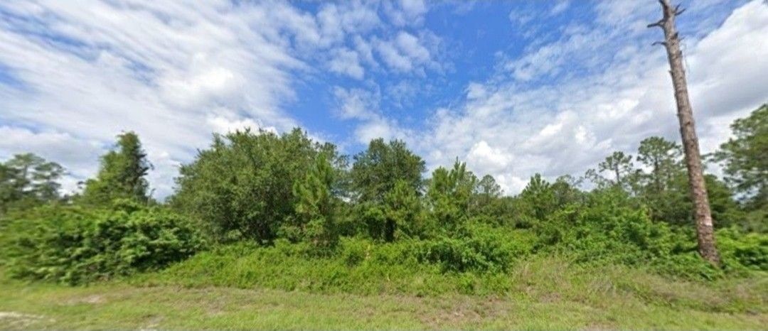 1/2 Acre Lot Of Land In Lehigh Acres. Lote De Medio Acre En Lehigh Acres