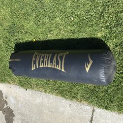 EVERLAST HEAVY BAG