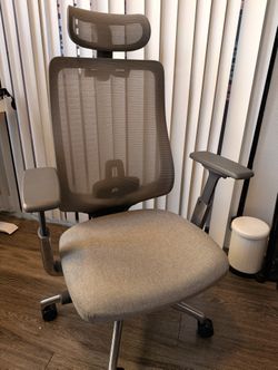 Ergonomic Office Chair