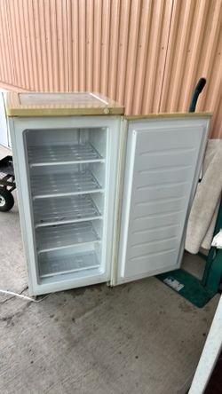 E Wave freezer