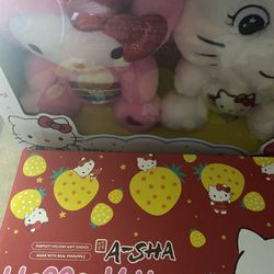 Hello Kitty Care Bear Bundle 