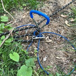 Dog lead