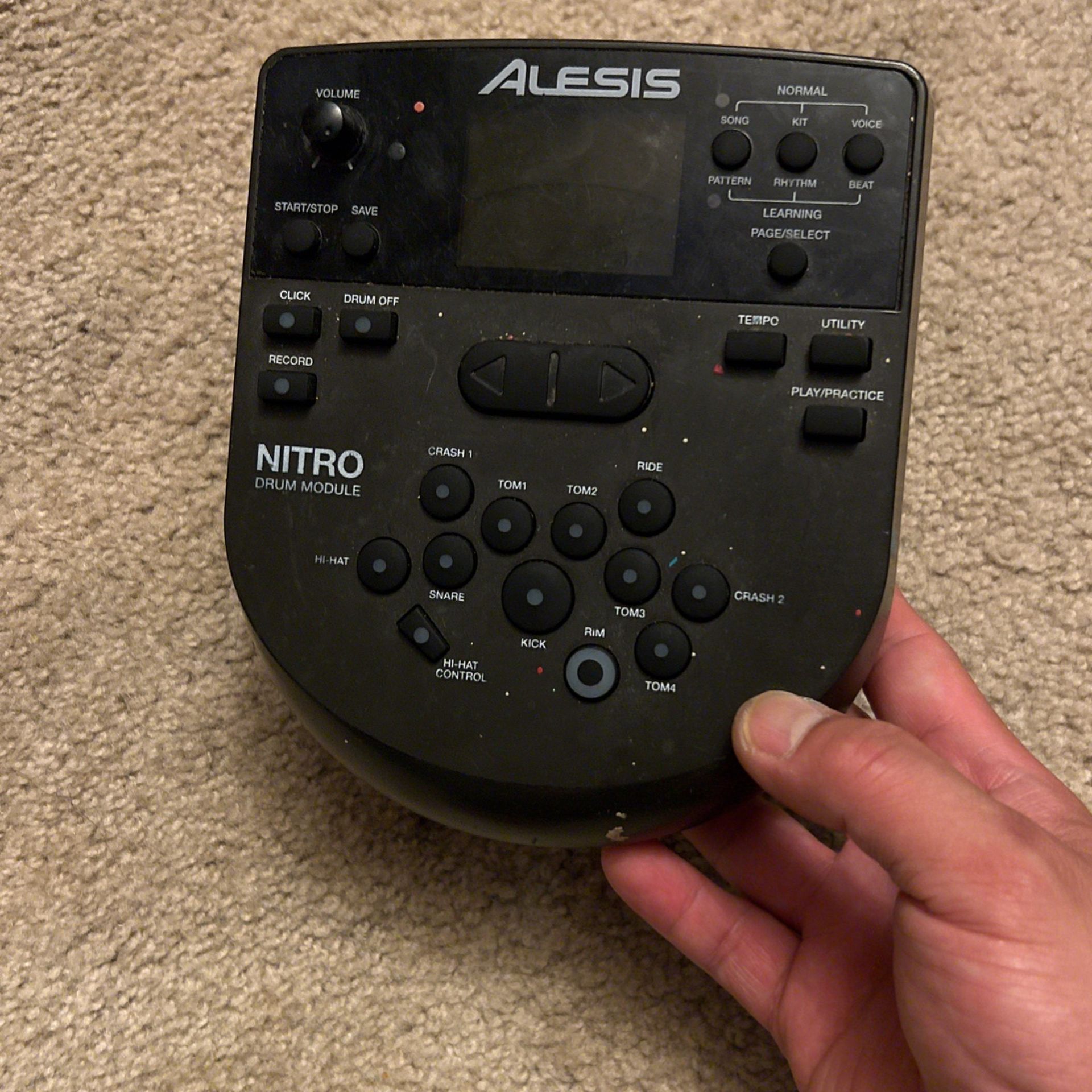 Alesis Nitro module ( brain)