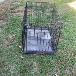 dog Cage 