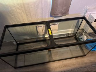 75 gallon aquarium
