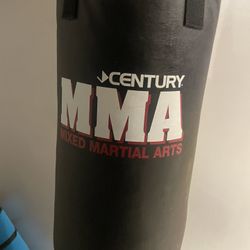 Punching Bag 