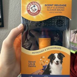 Arm And Hammer Dog Cleaning Brush 