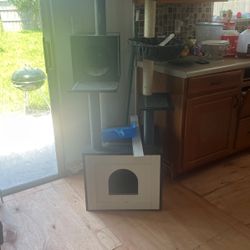 Cat Scratcher 