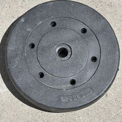 25 lb Barbell Bumper Plates 