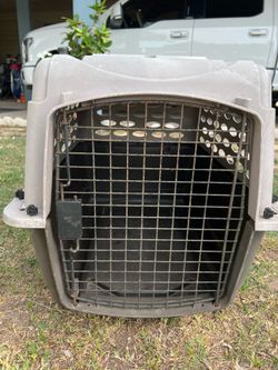 Retriever 1-Door Plastic Portable Pet Carrier
