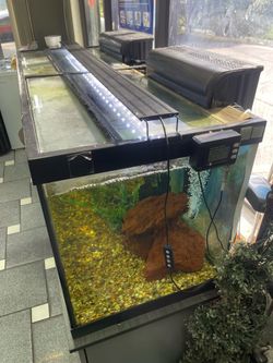 Like new fish tank fully equipped