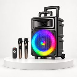 Karaoke speaker with 2 wireless microphone