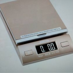 Accuteck Scale
