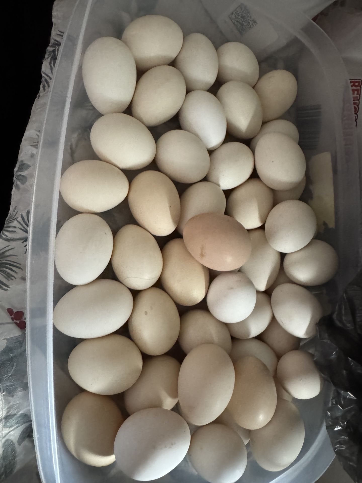 Fresh Farm Eggs