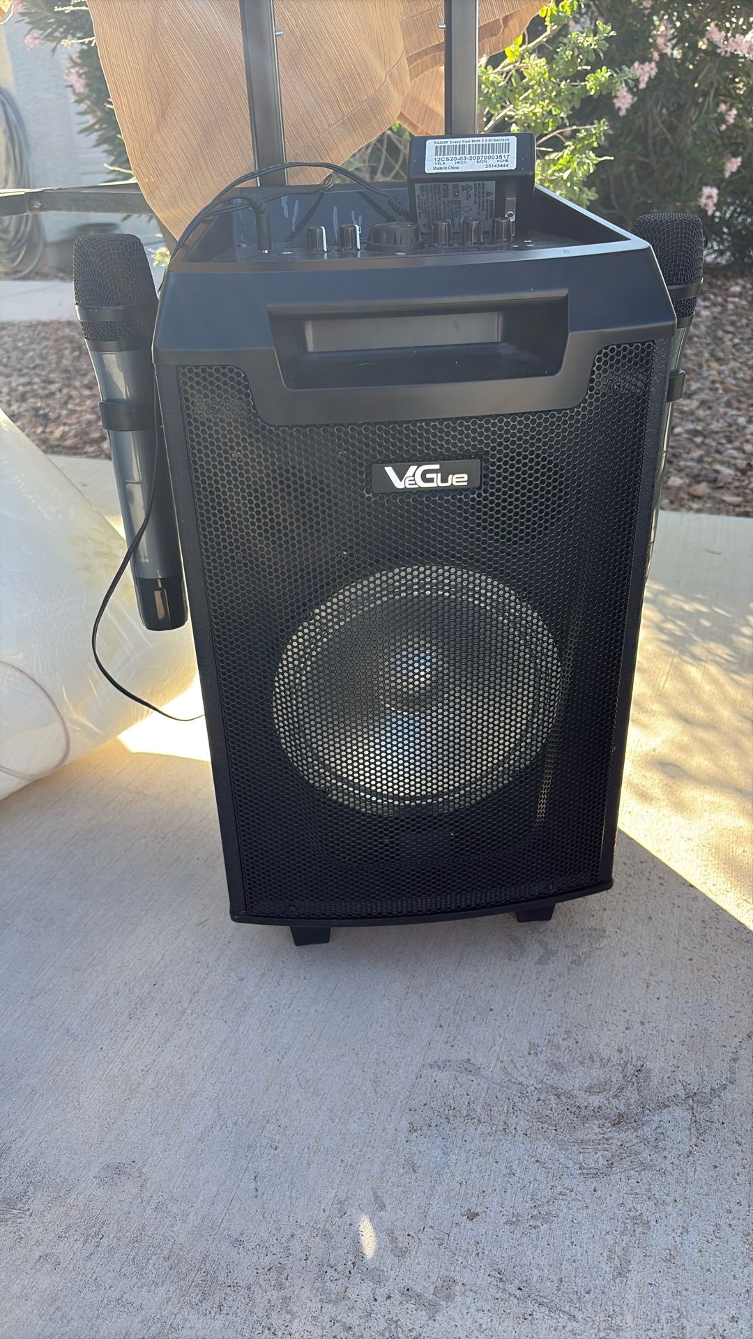 Karaoke Machine Wireless Microphones