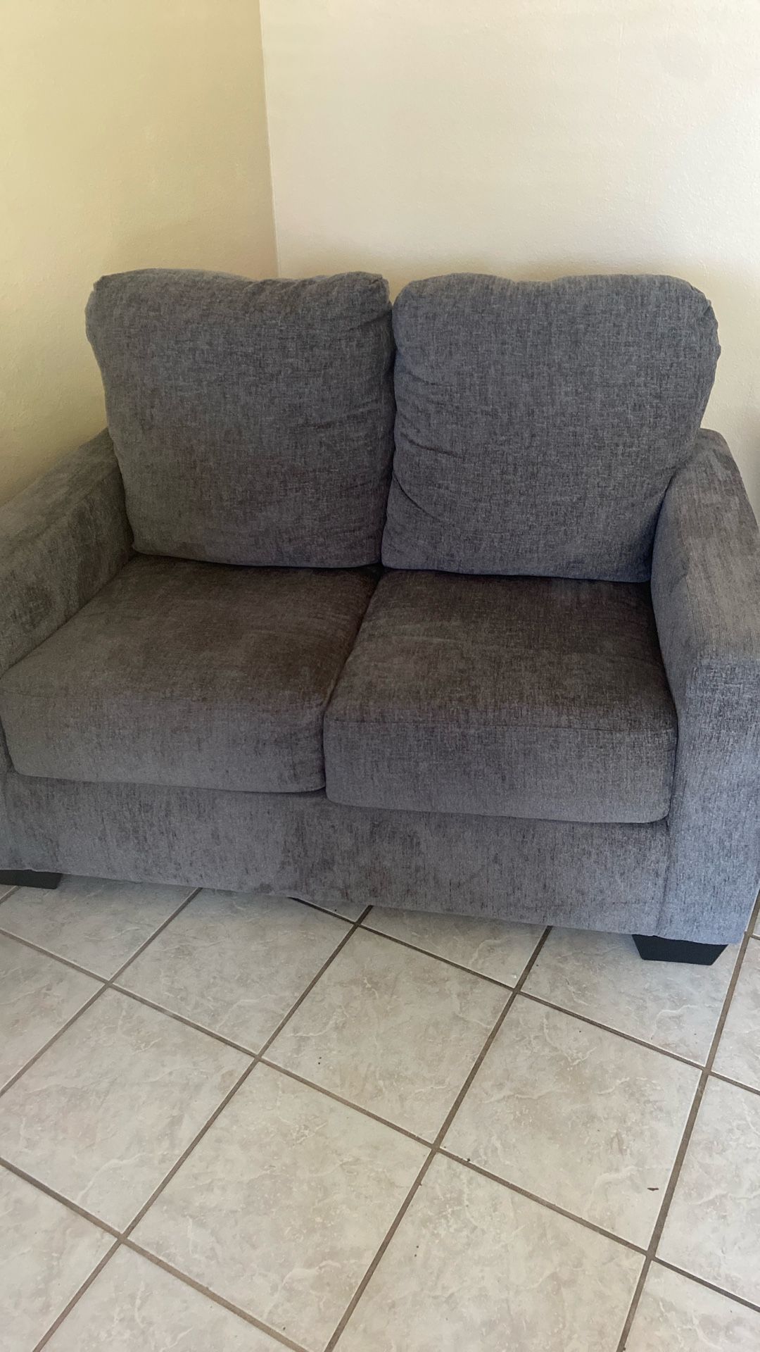 Twin Sofa Couch