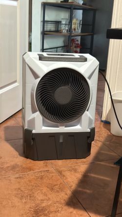 Fan for sale