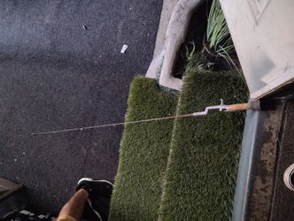 True Temper Fish Raw 