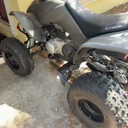 2022 Mongoose