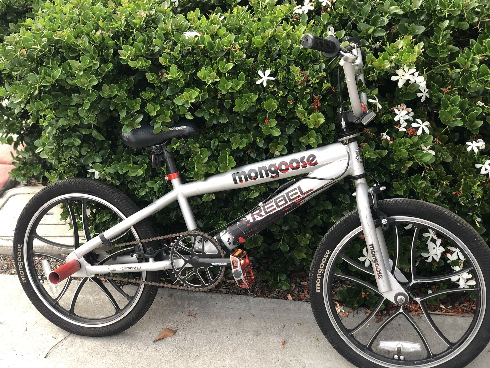 Mongoose rebel (kids mountain bike)