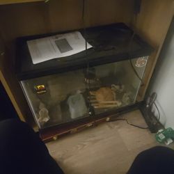 Fish Tank Or Lizard Aquarium