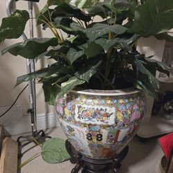 Asian plastic plant