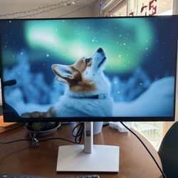 27” Computer Monitor