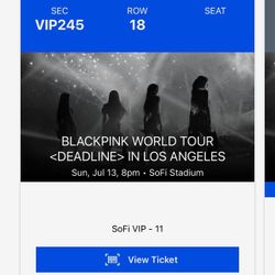 Blackpink Concert Ticket 
