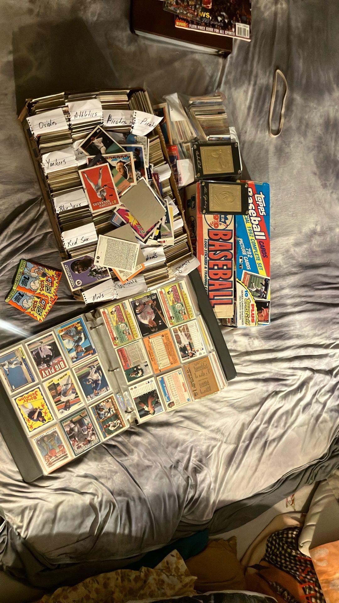 Baseball Card Collection