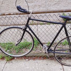 Large Size Raleigh Lightweight Singlespeed Road Bike w/ freewheel 