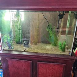 Fish Tank