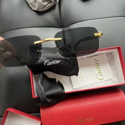 Cartier Sunglasses 
