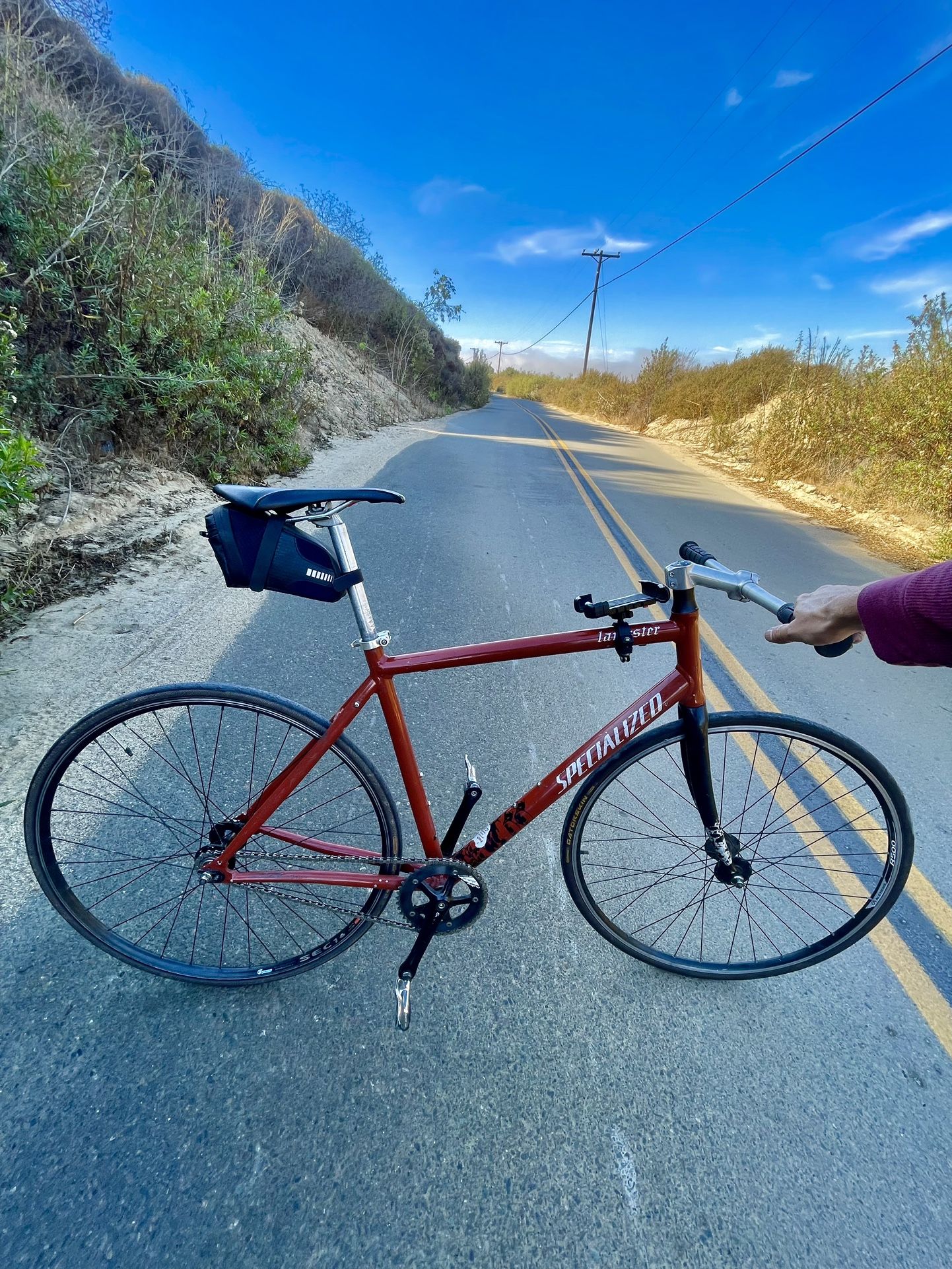 Specialized Langster FRAME and CRANKSET ONLY