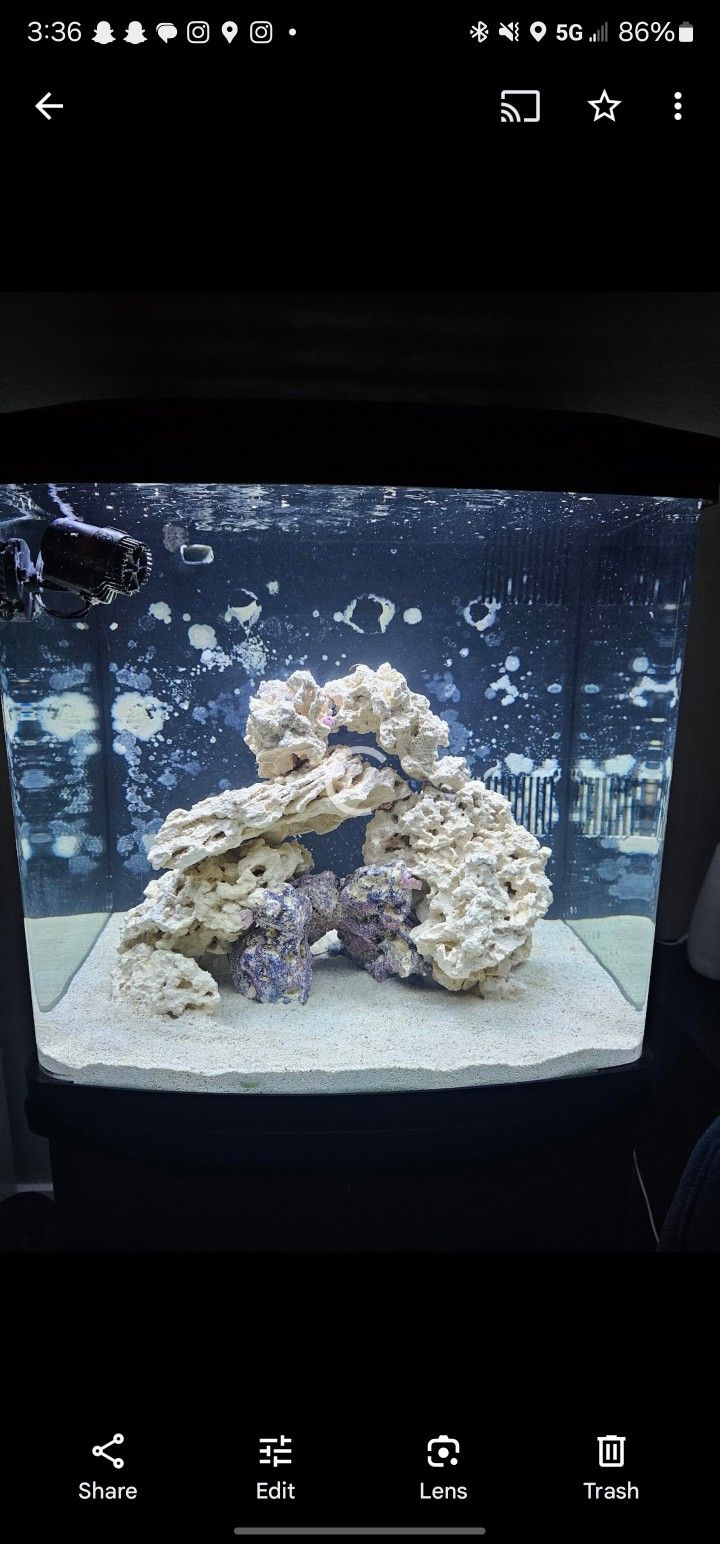 32 Biocube