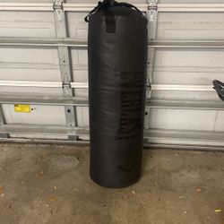 Everlast Punching Bag 