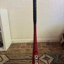EASTON QUANTUM BBCOR BAT (-3)